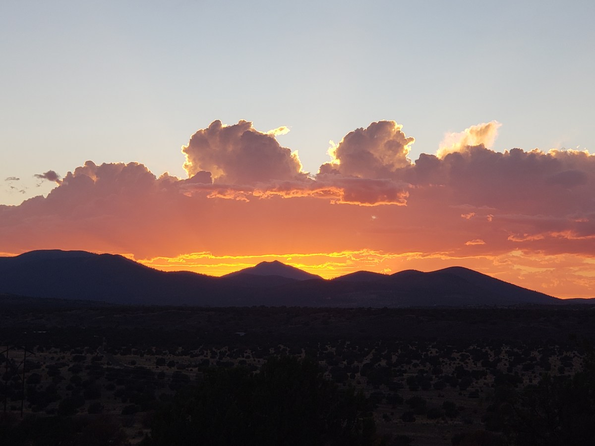 Characters & Introspection